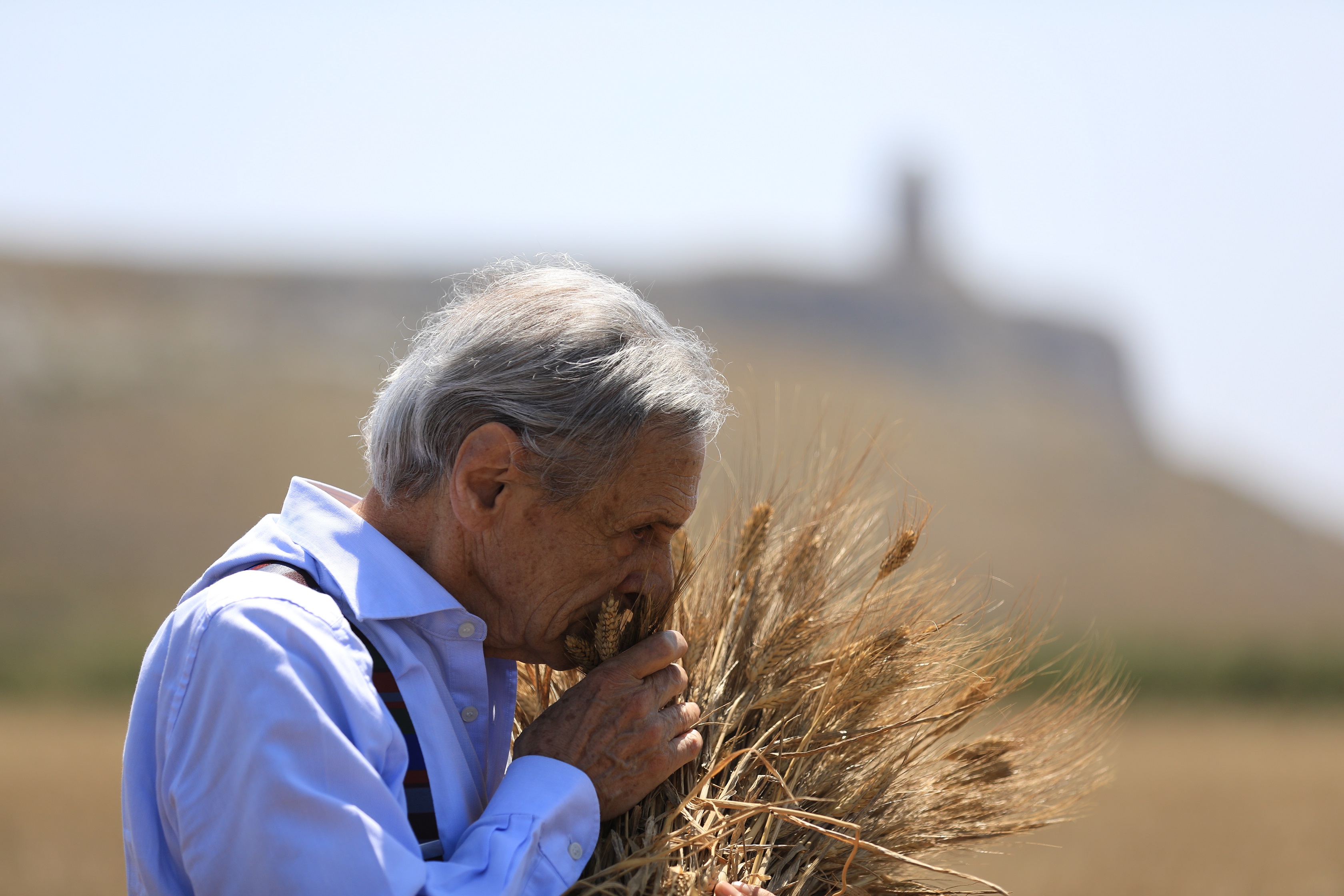 "Authentische Carbonara" Box - 8 Personen - Mit 500g Guanciale  - 400g Pecorino Romano  und 1Kg Spaghettoni 