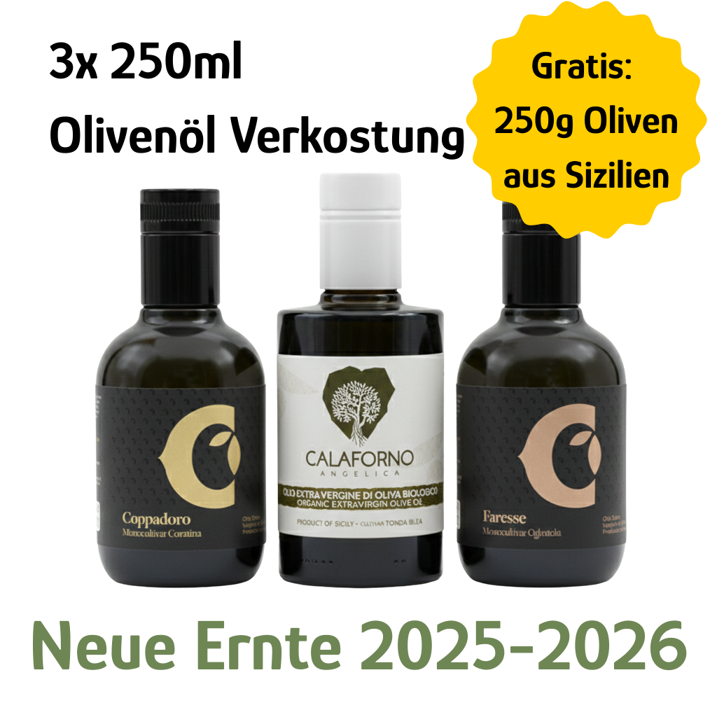 Premium Verkostung Olivenöl Süditalien - Ernte 25-26