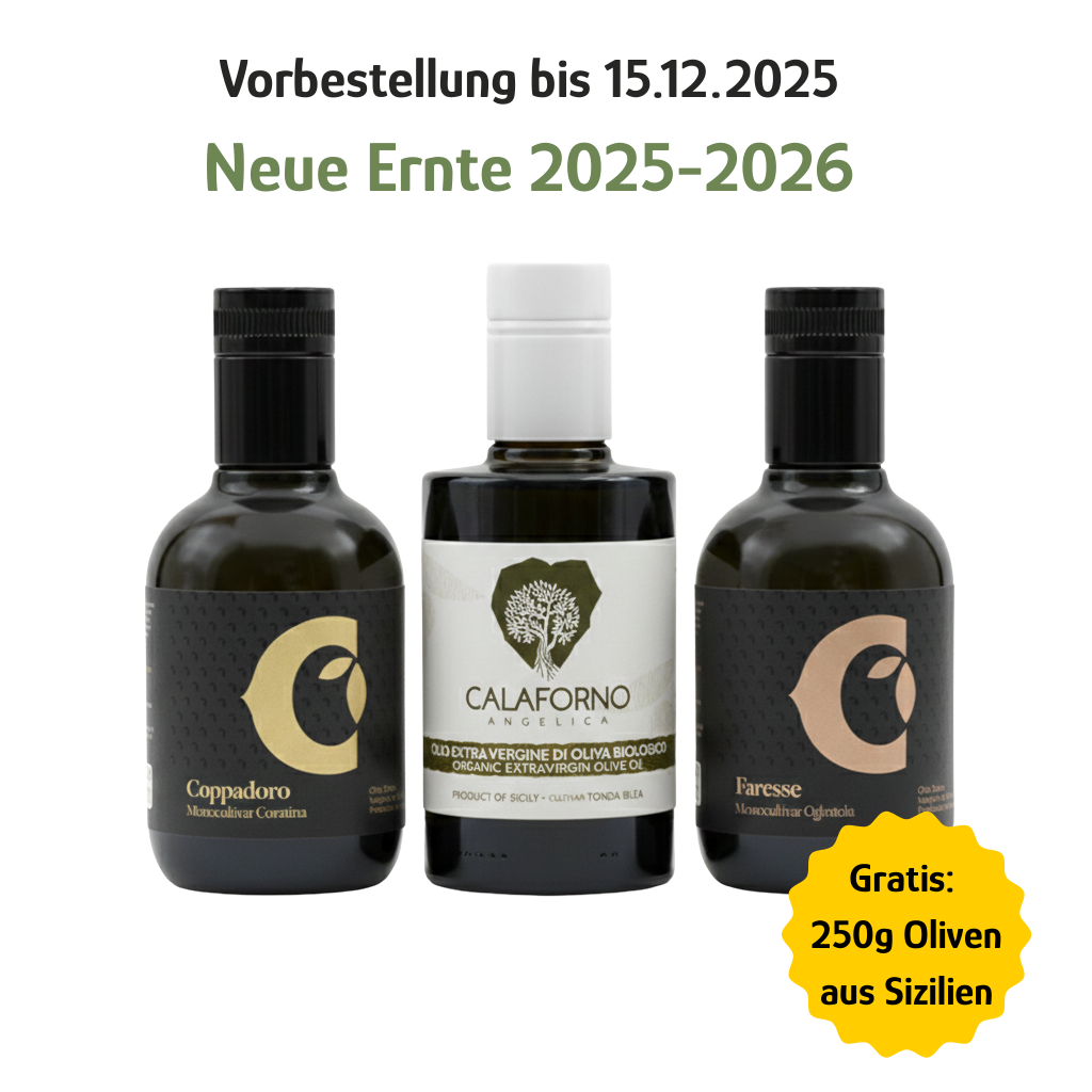 Premium Verkostung Olivenöl Süditalien - Ernte 25-26