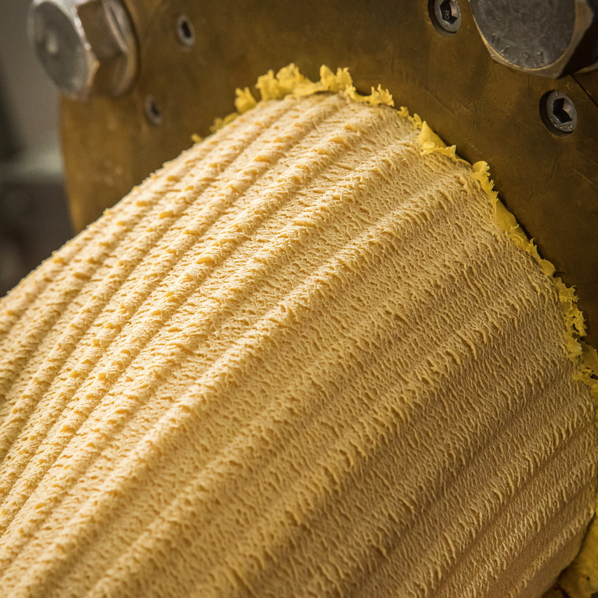 Mezze Maniche „Filotea“ – Pasta aus Hartweizengrieß